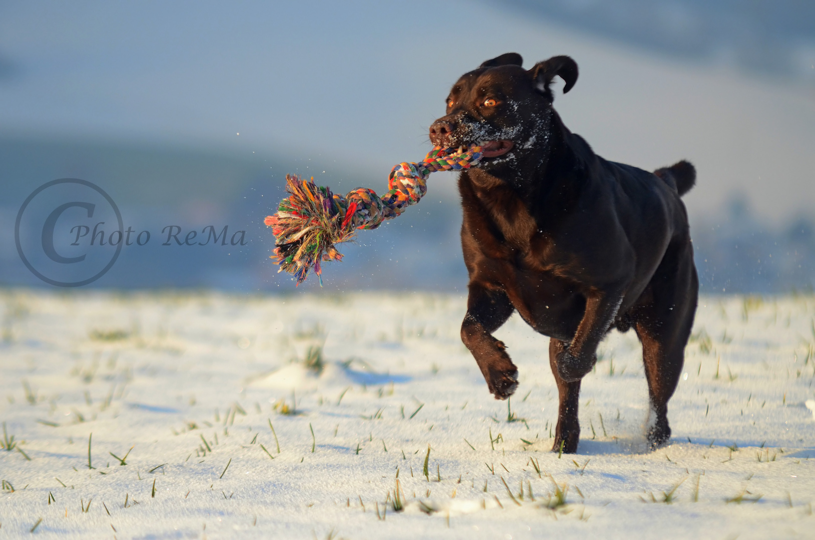 Snow-fun