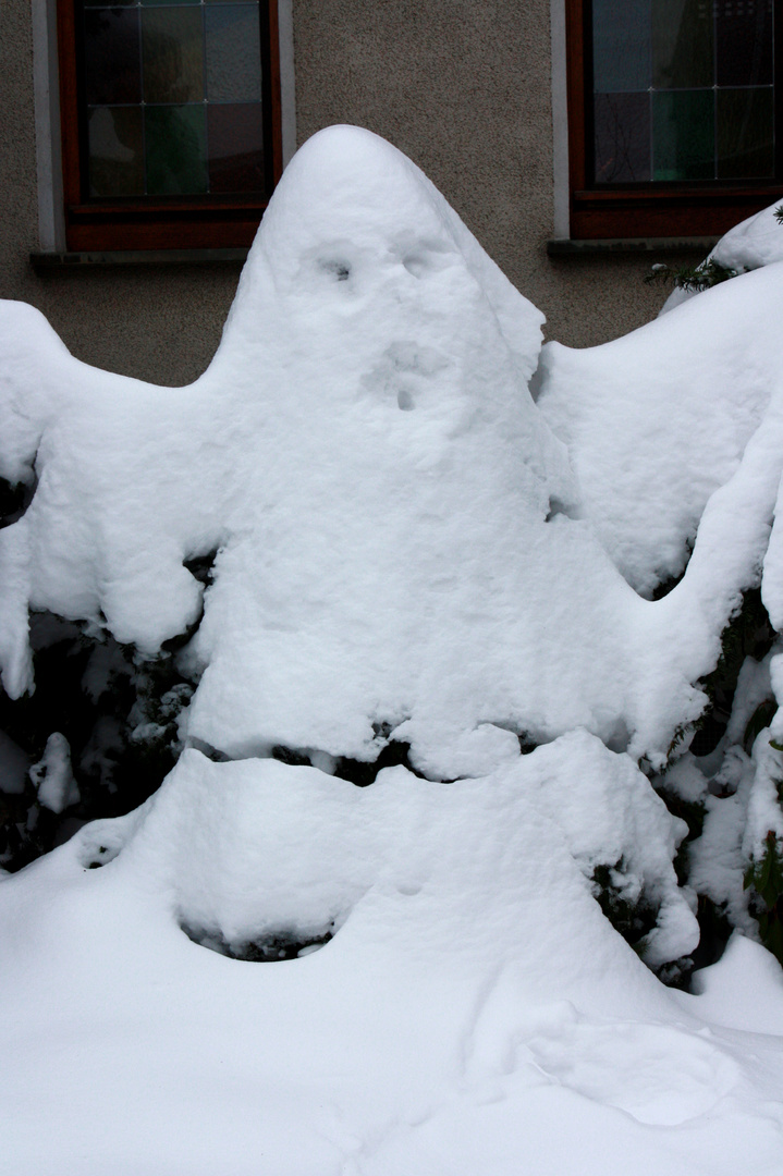 *Snow Ghost*