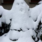 *Snow Ghost*