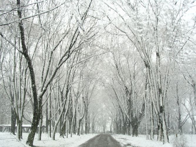 snow in april