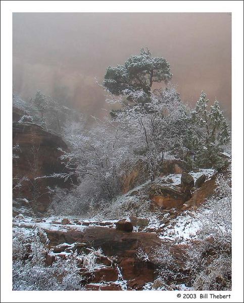 Snow in Canyonlands