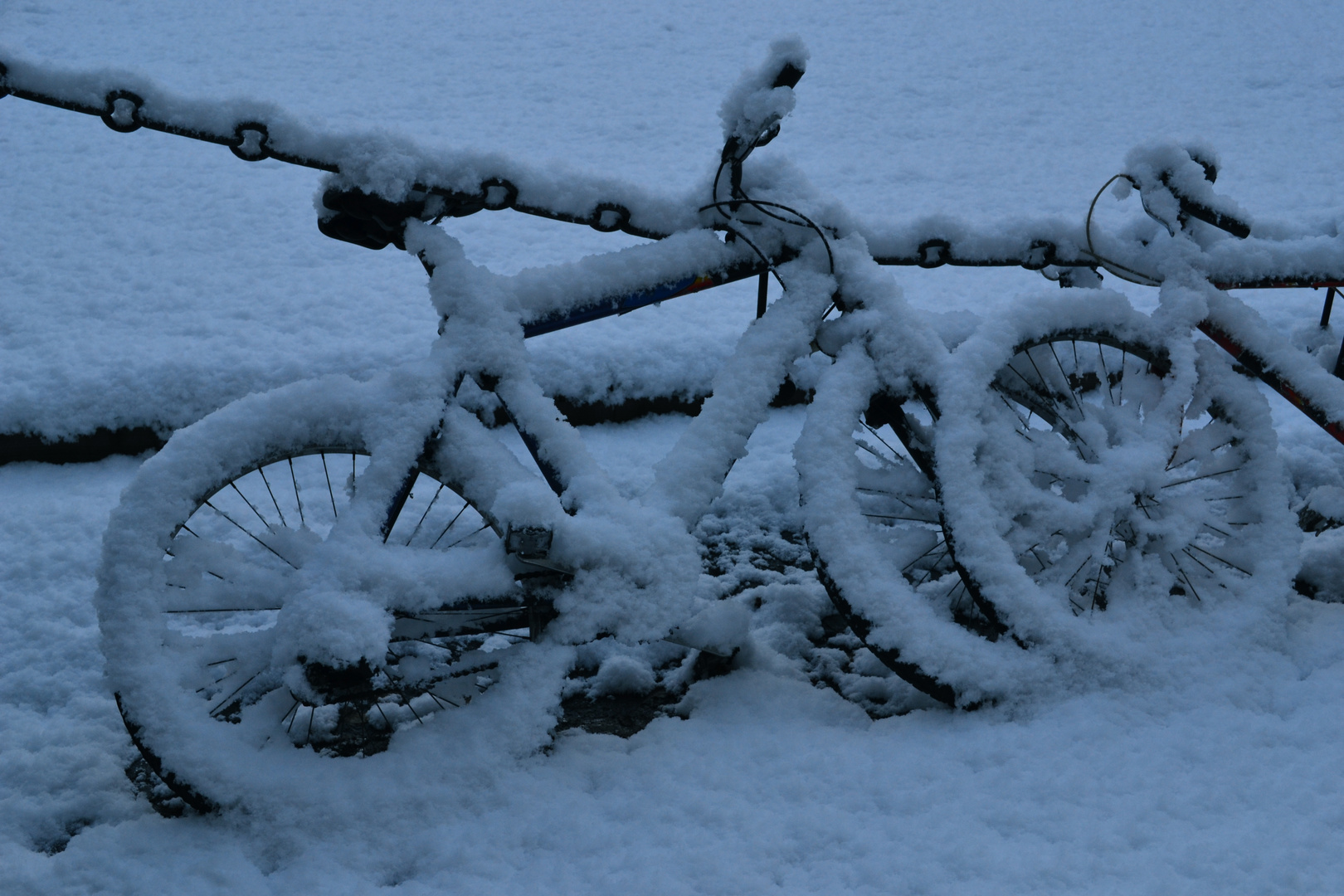 Snow in Dublin