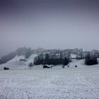 Snow in Gruyeres