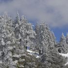 Snow in Idyllwild CA