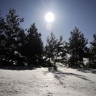 snow in moonlight