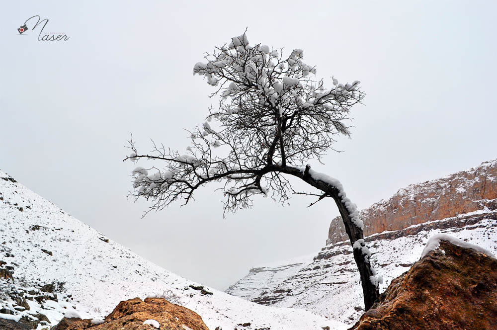 Snow in my town