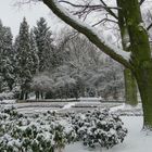 snow in park