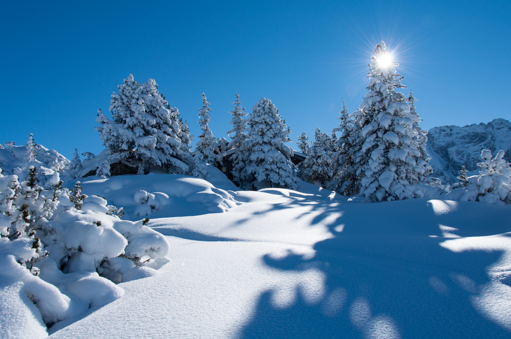 Snow in the Mountains