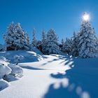 Snow in the Mountains