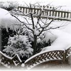 Snow in the neighbour's garden