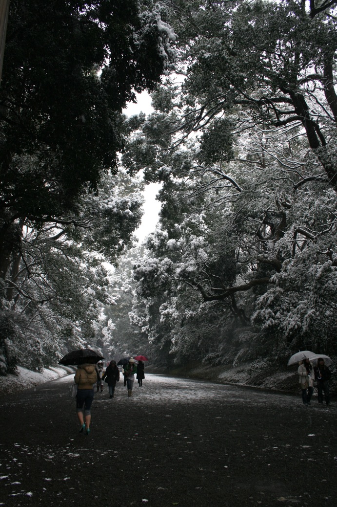 Snow in Tokyo