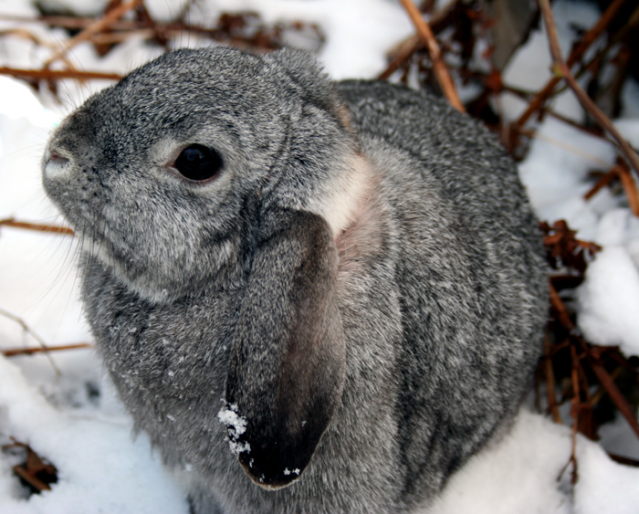 Snow is fun!