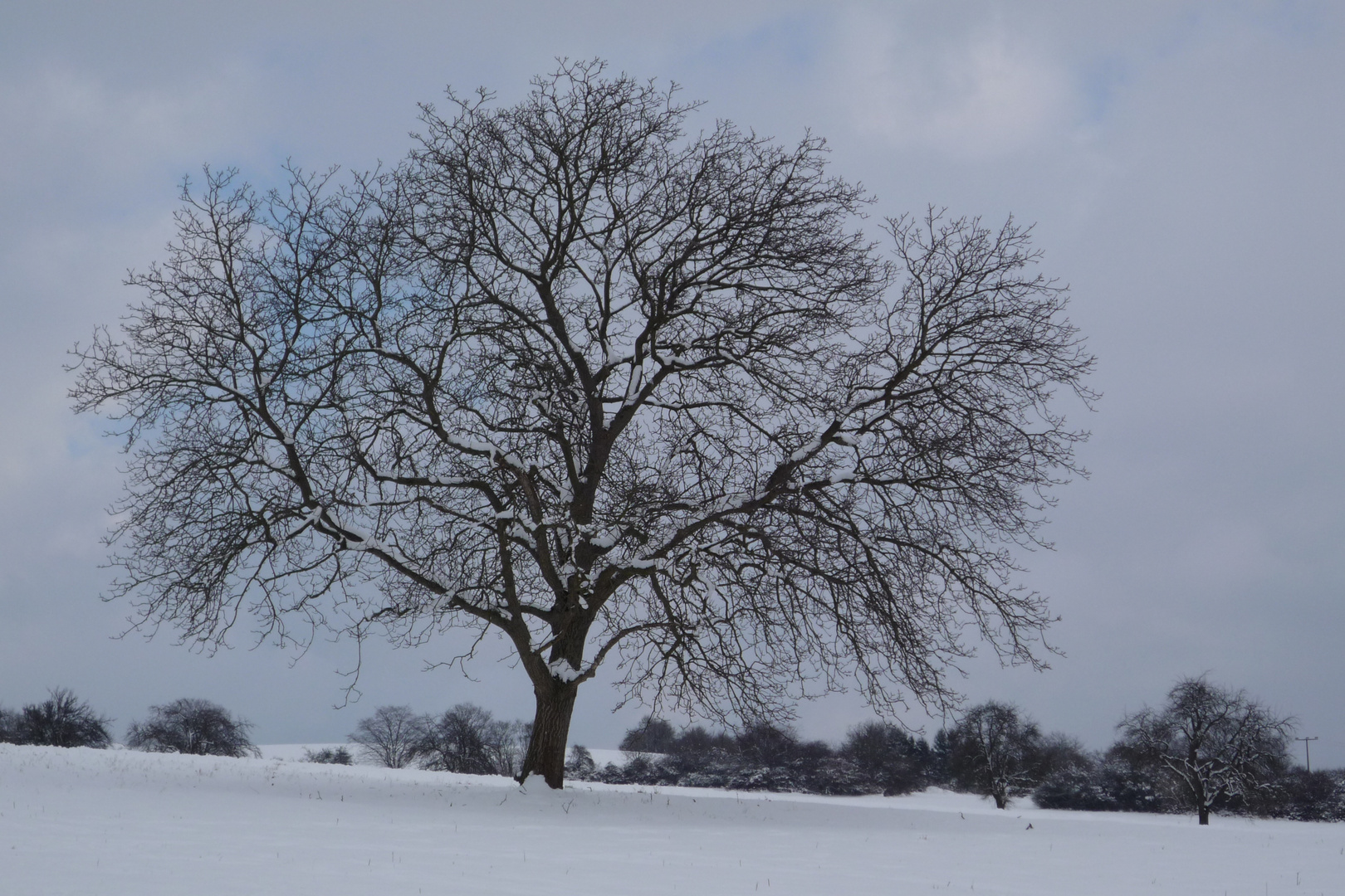 snow, it´s dream