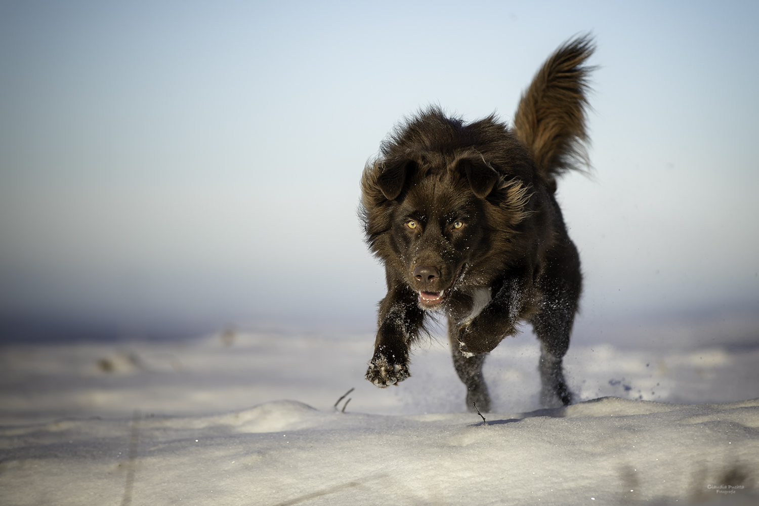 Snow jumping