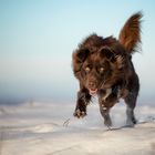 Snow jumping