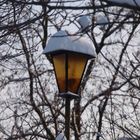 Snow Lamp