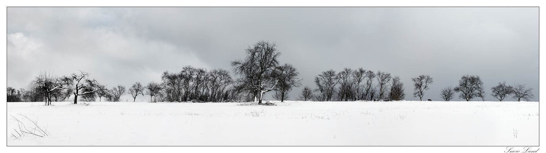 - Snow Land II -