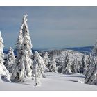 snow landscape