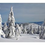 snow landscape