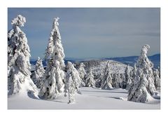 snow landscape