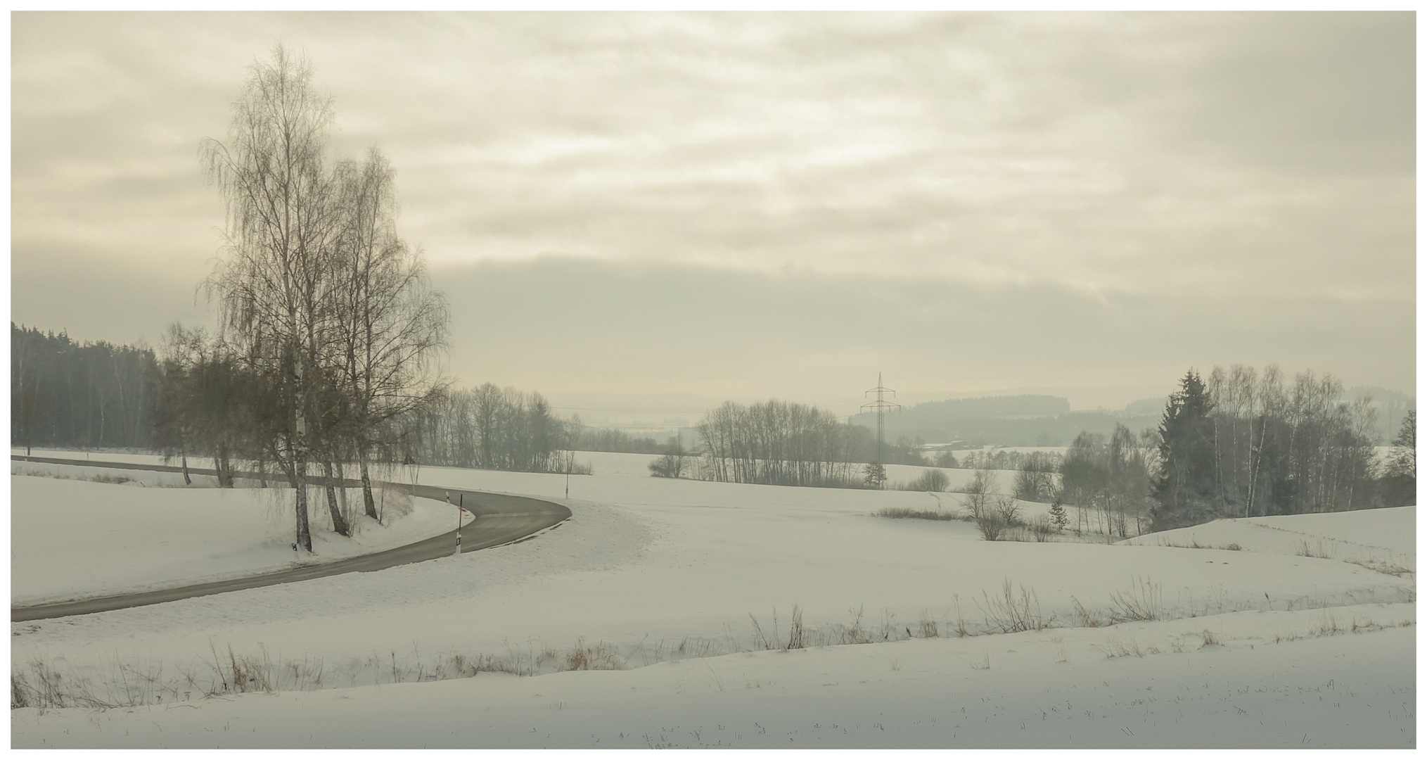 Snow landscape