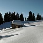 SNOW LANDSCAPE