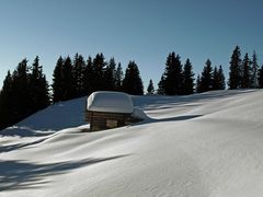 SNOW LANDSCAPE