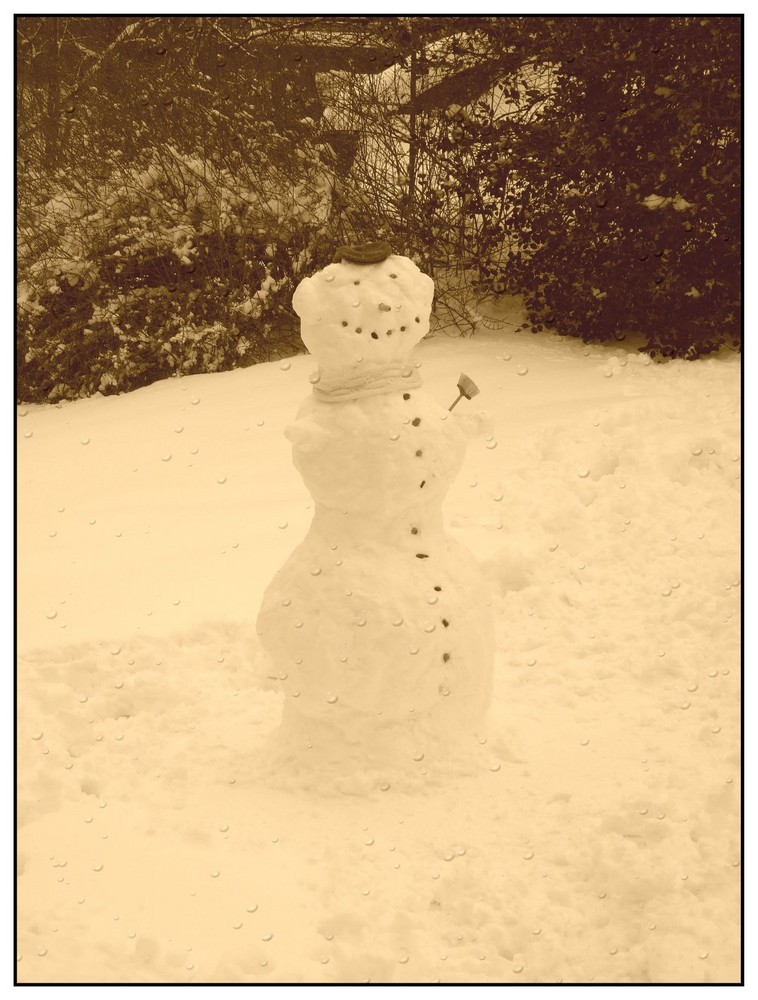 Snow Man 2009