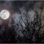 Snow Moon Feb. 27.2021