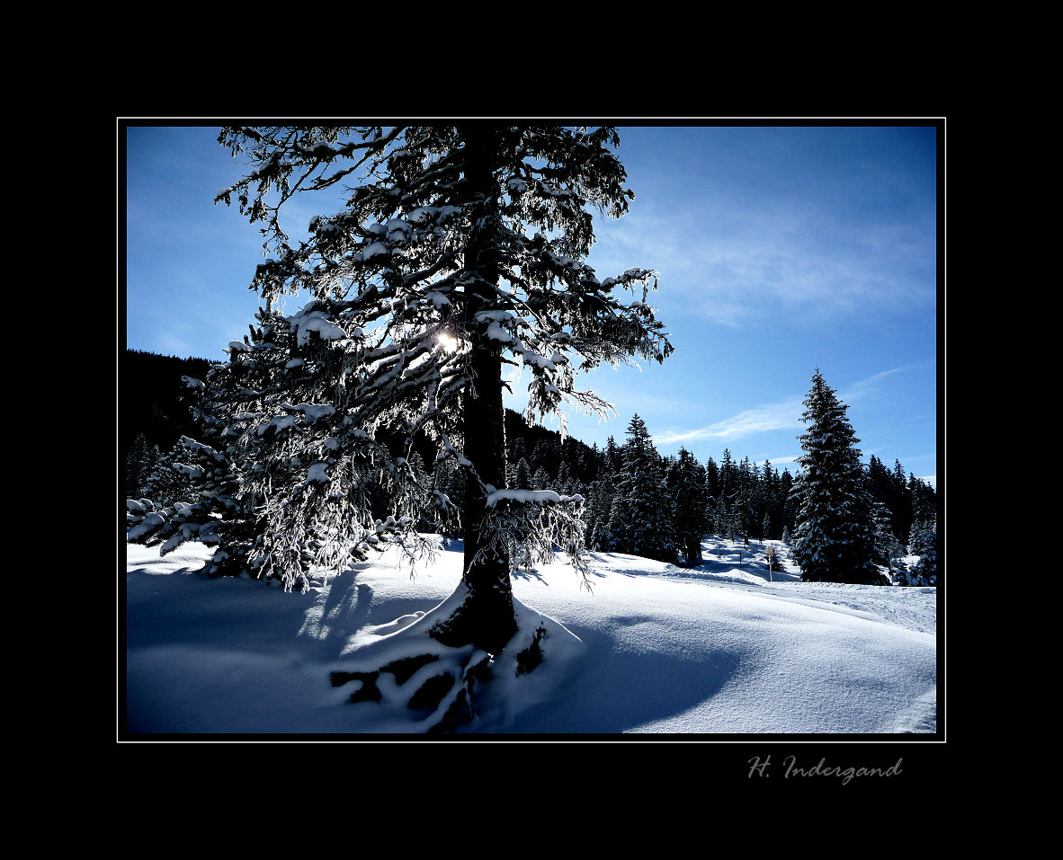 Snow Mountain