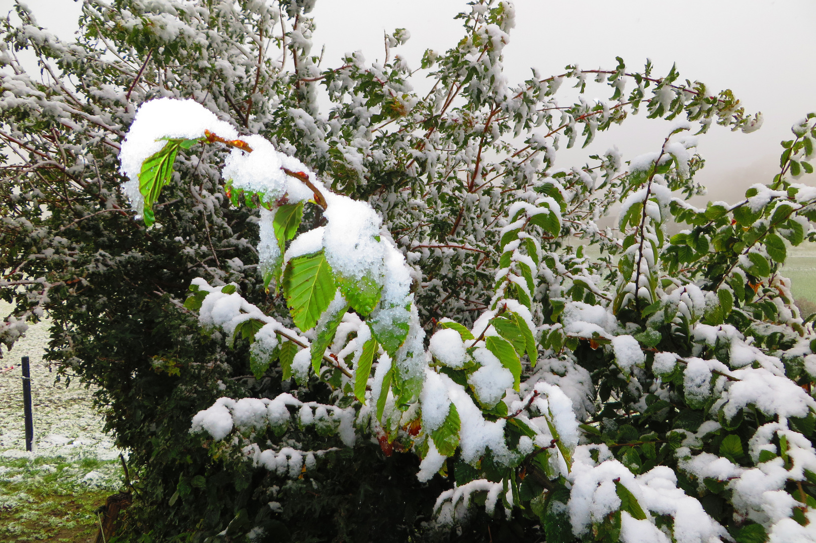 Snow October 2015