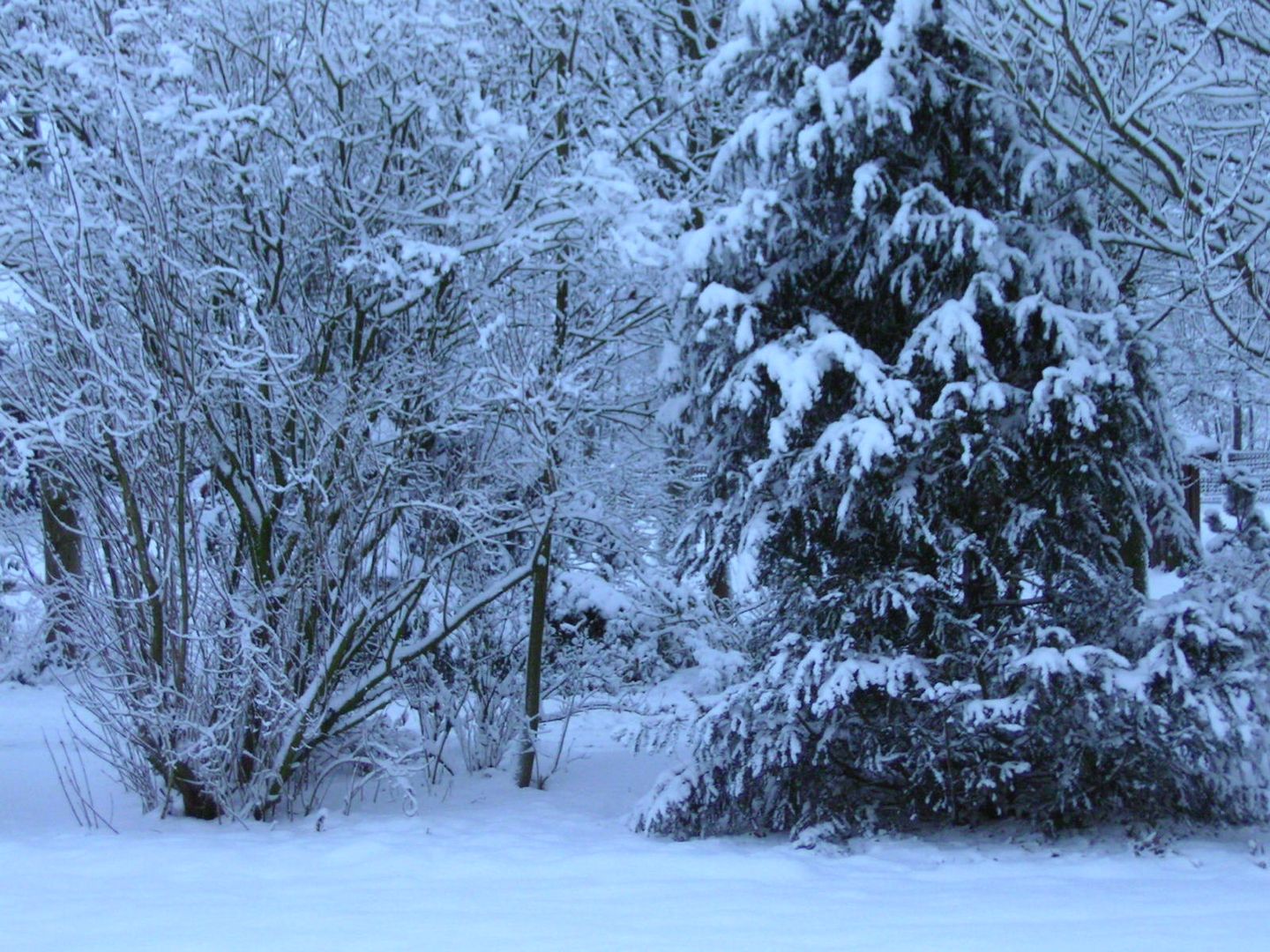 Snow on Christmas Eve