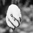 Snow on metal art