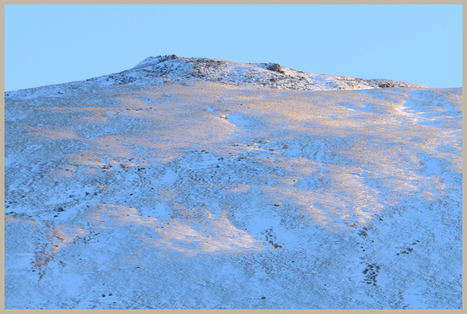 snow on newton tors at dusk