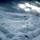 Snow on Povlen