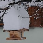 snow on the roof