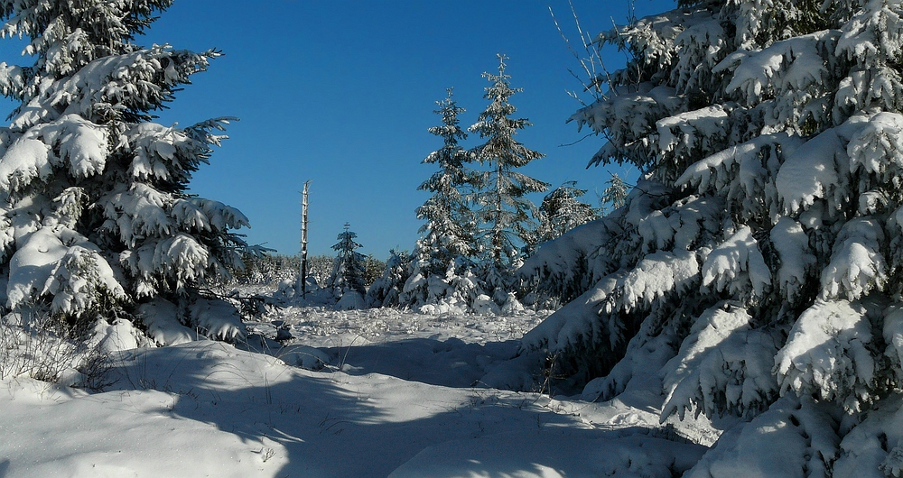 Snow paradise (2)