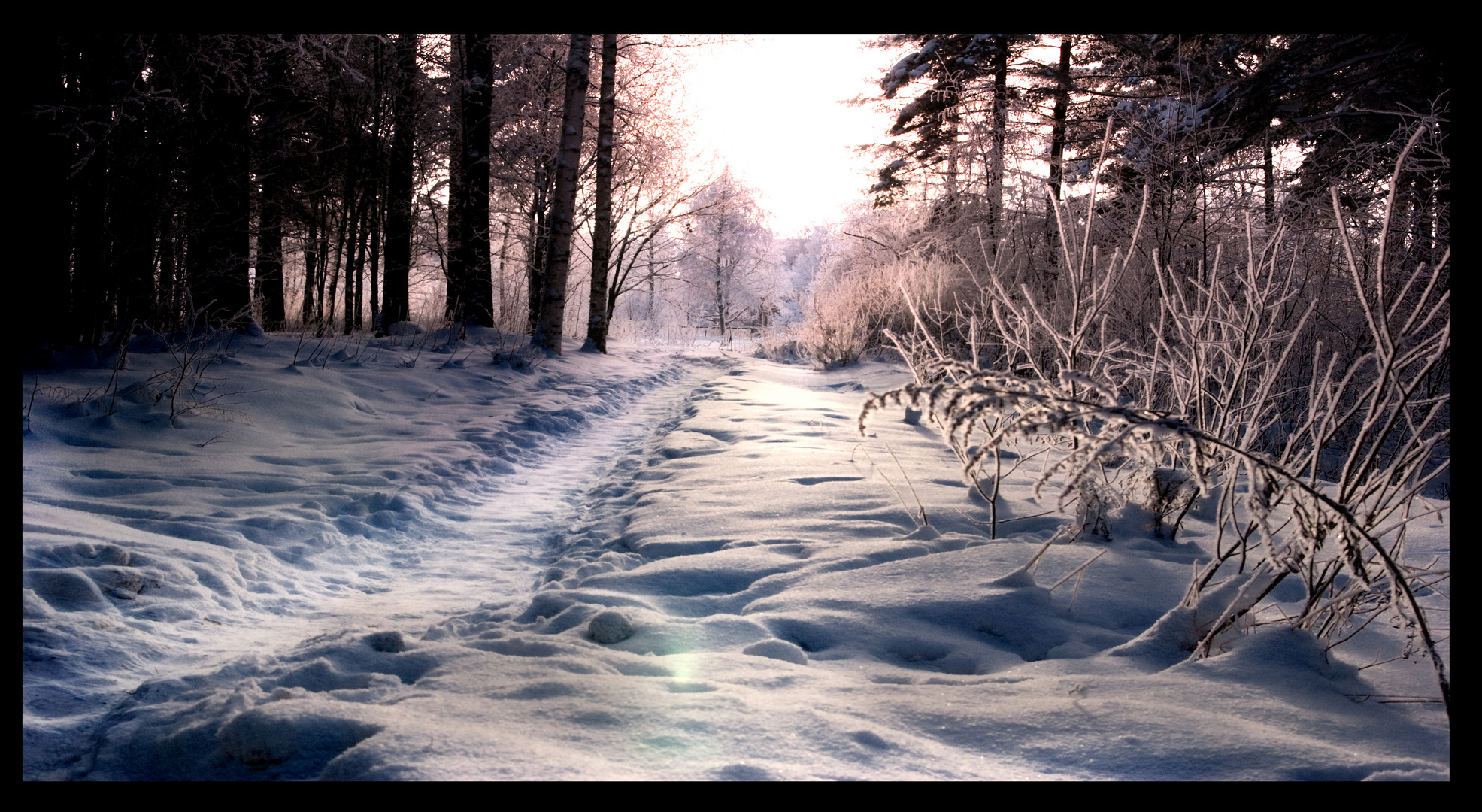 Snow Path