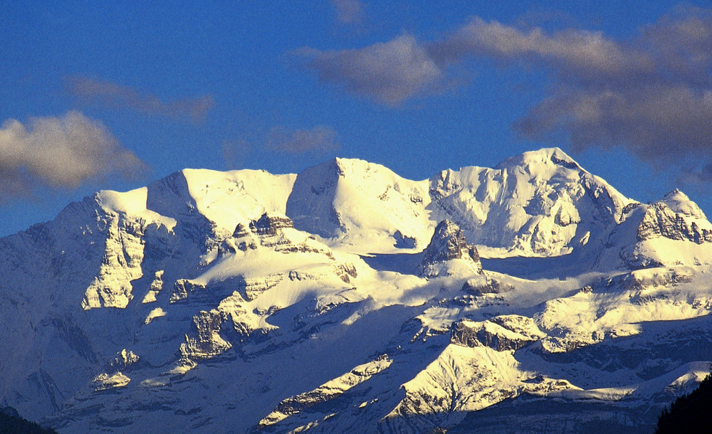 Snow Peaks
