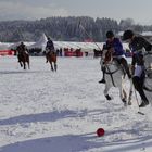 Snow Polo in Kitzbühel 2013