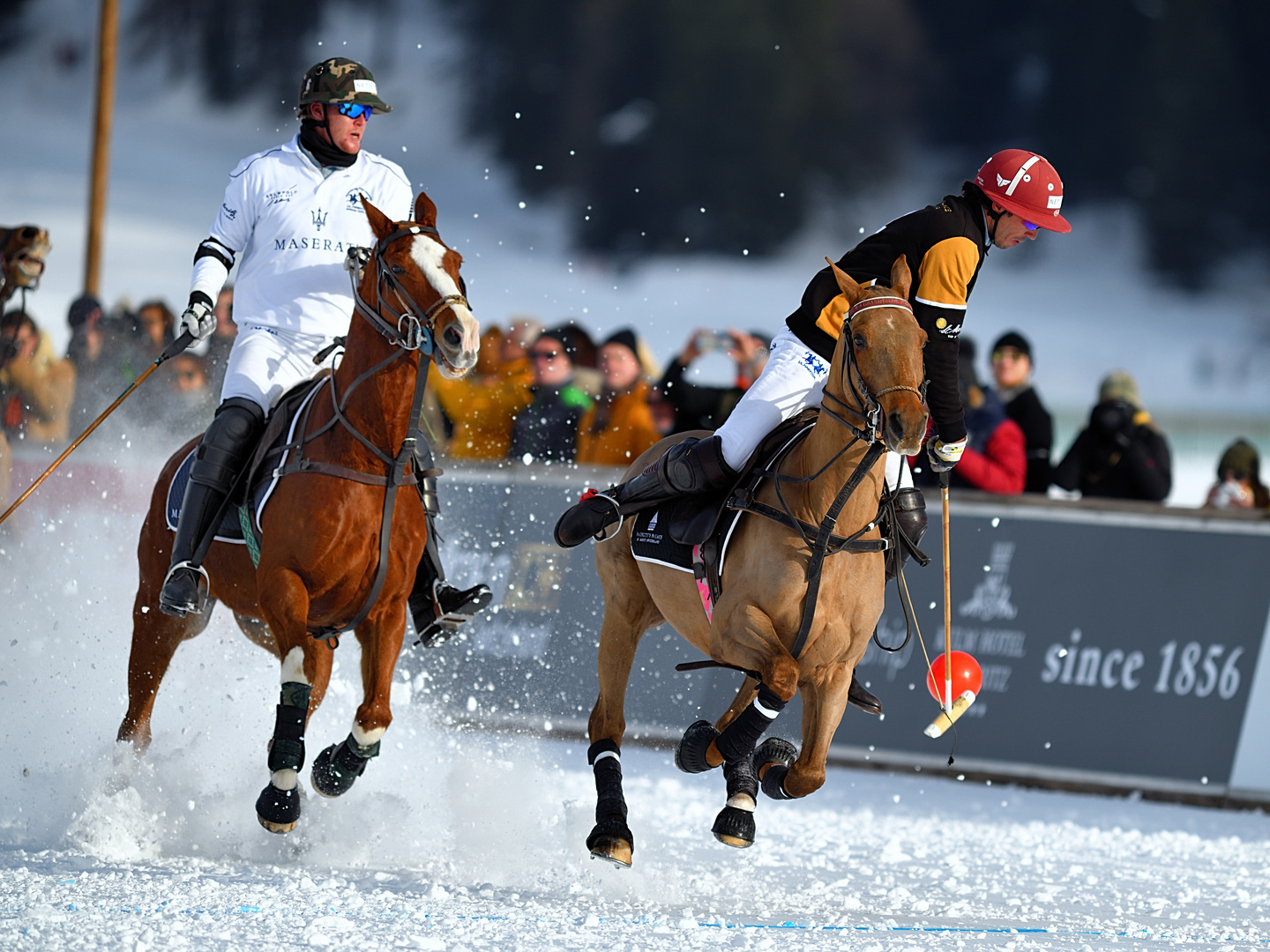 Snow Polo World Cup St. Moritz, Team Maserati / Team Badrutt`s Palace Hotel