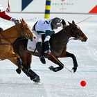 Snow Polo World Cup St. Moritz, Team St. Moritz / Team Azerbaijan Land of Fire