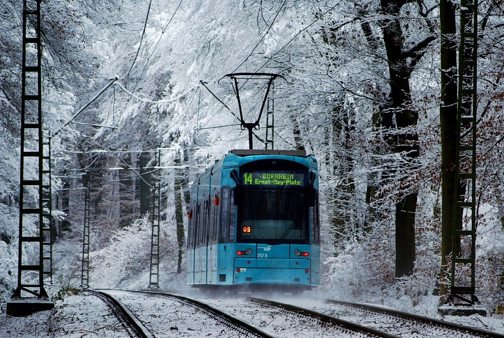 Snow ride