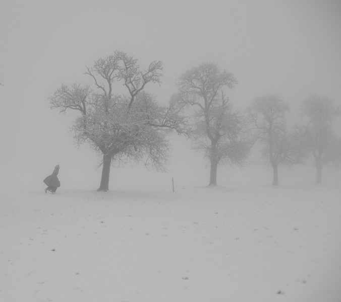 Snow run