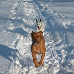 Snow running