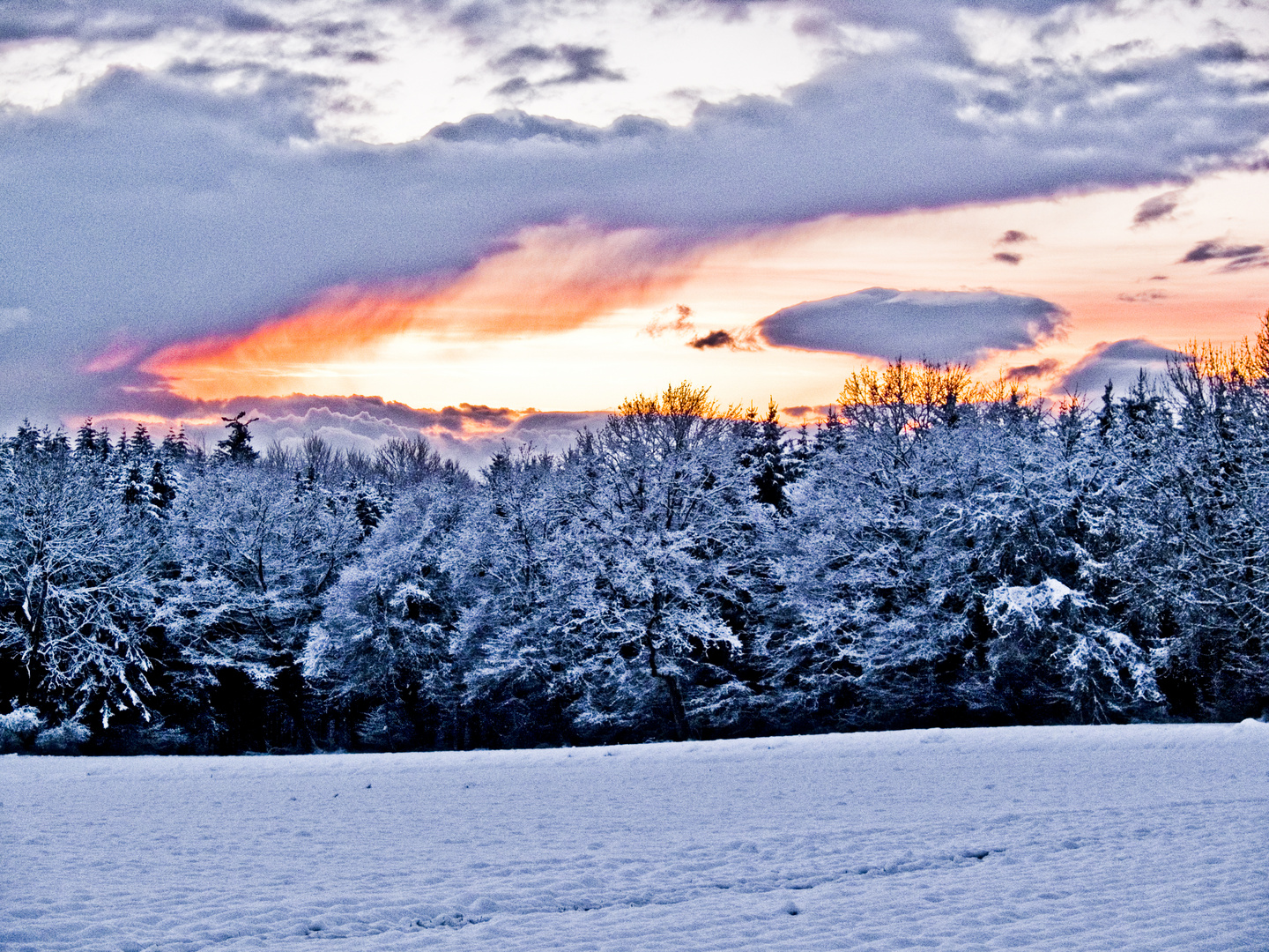 Snow Scene