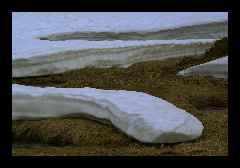 snow snake