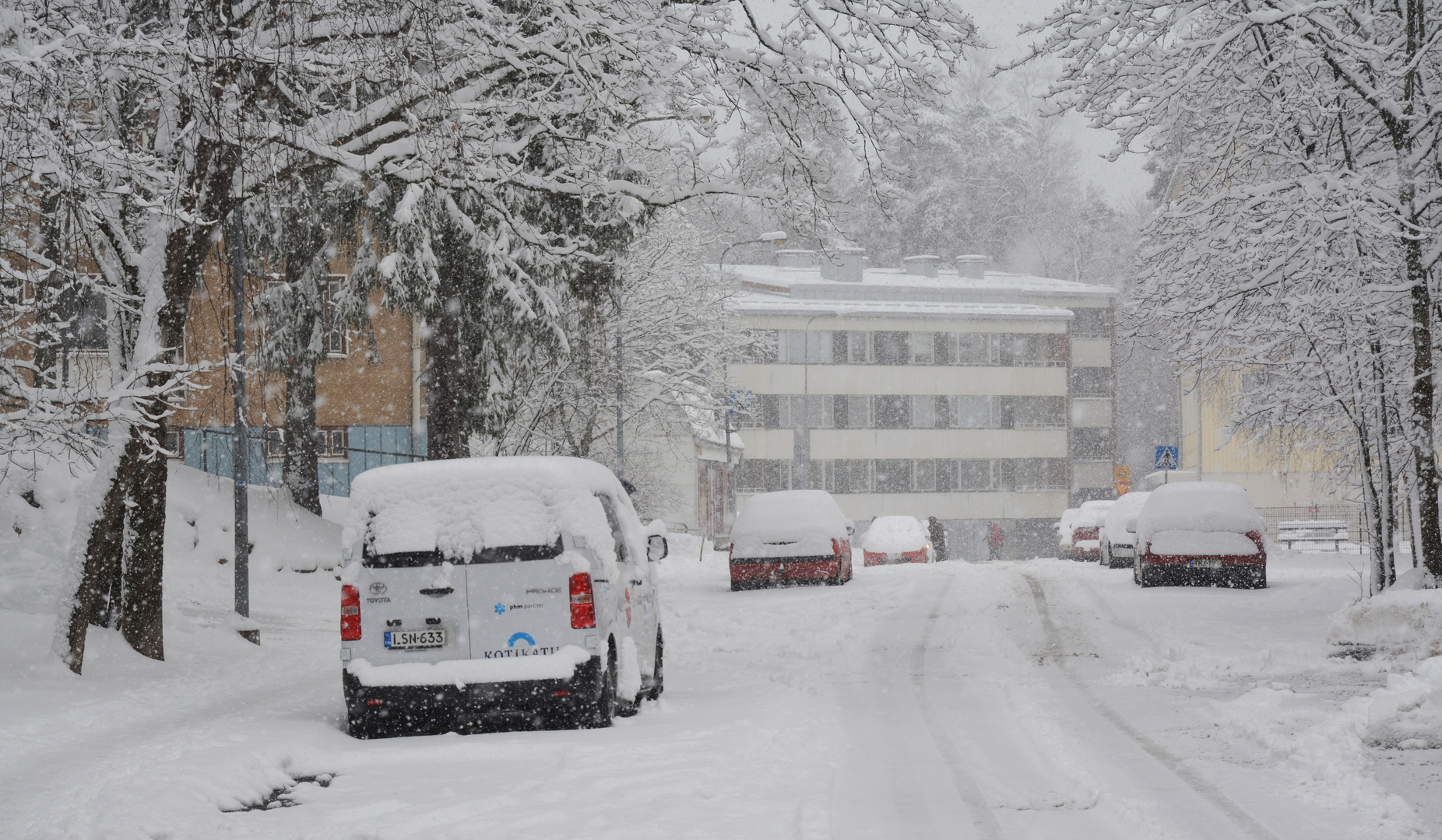 Snow, snow and snow