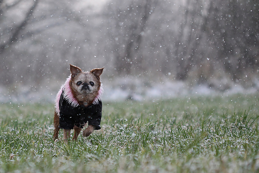 Snow, snow, snow!