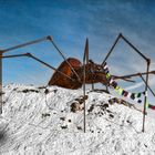 Snow Spider